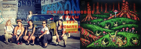 ешки Балахна